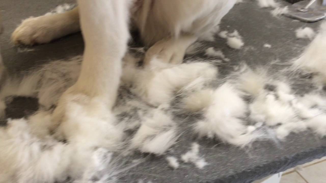 petsmart deshedding tool