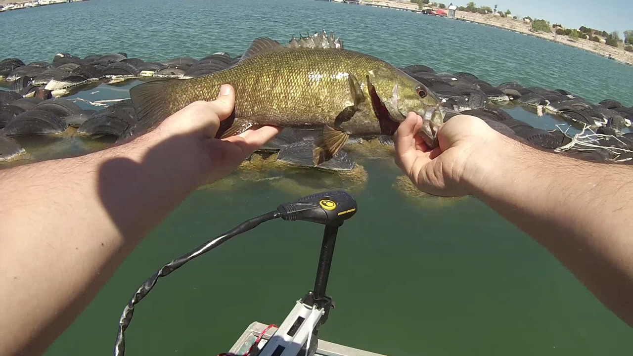 Early Summer Bassin  Pueblo Reservoir Bass Fishing 