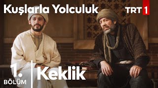 Kuslarla Yolculuk