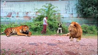 ae9922c06ced8507d27e47d2c2e34c86