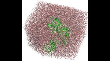 MD Simulation Hands On