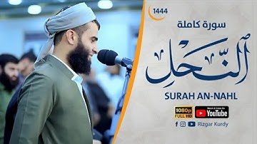 سورة النحل کاملة للقارئ رزکار محمد الکردي | Rizgar kurdy full Sura al nahl