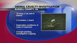 Russell County animal cruelty case