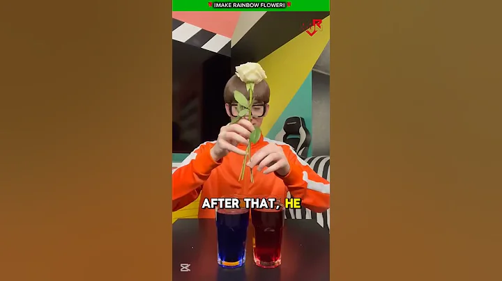 Make Rainbow Flower🌹 #shorts #vector #flower #rainbow #mradn