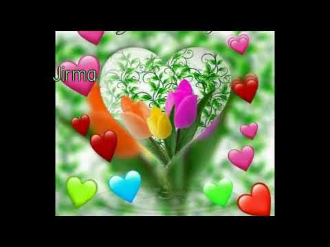 Jirma Womaanifatu Onee Jaallalaa