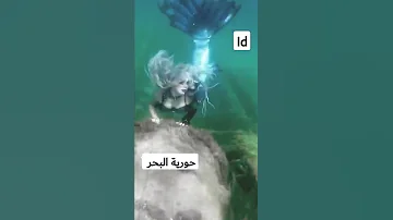 حورية بحر حقيقية 