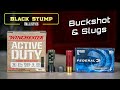 Buckshot and slugs  12ga shot shell basics