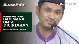 Riyadhus Sholihin : Merenungkan Bagaimana Unta Diciptakan - Ustadz M Abduh Tuasikal