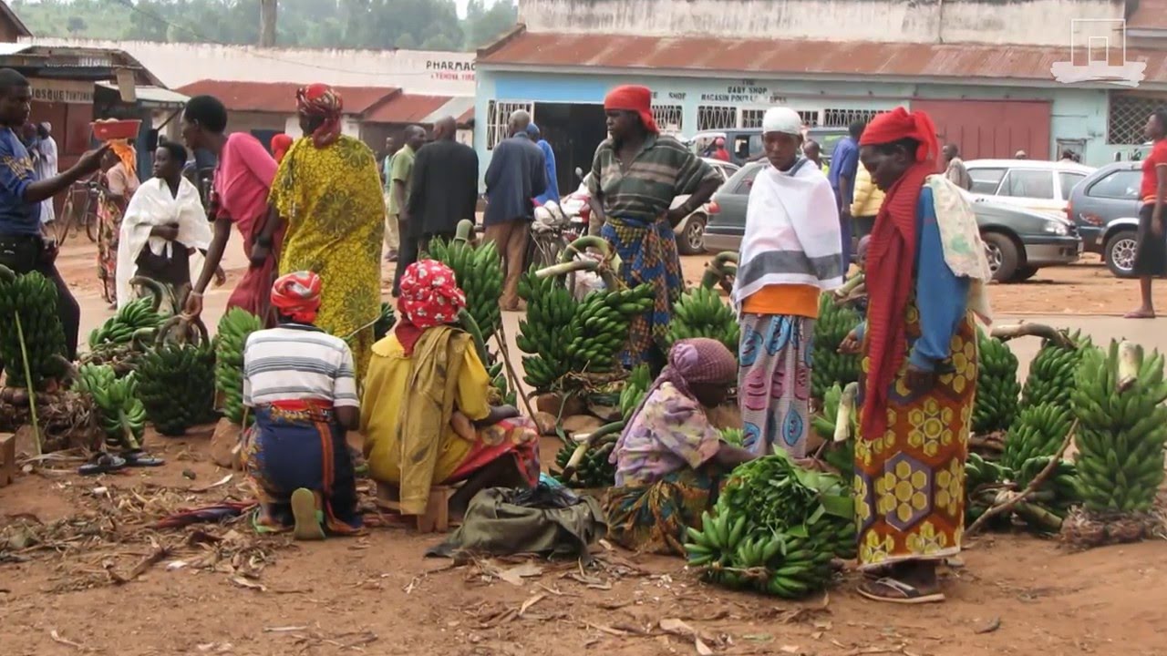 PIP Integrated Farm Planning in Burundi YouTube