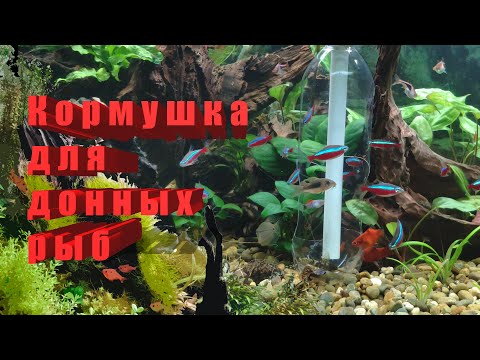 Кормушка для рыб