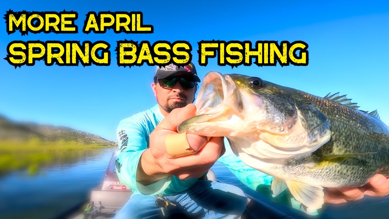 Bass Fishing MORE April Spring PreSpawn  | Lake Perris 2024 #bass #spawn #spring