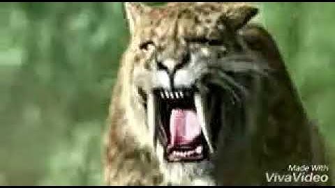 Indominus rex - riot (three days grace)