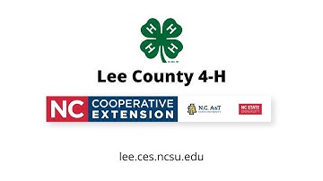 Soda Can Jump - Bernoulli