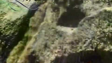 سورة النمل للمرة الأولى بصوت الشيخ ناصر القطامي