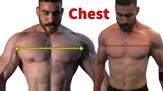 7 Exercises To Build A Big Chest (Fast) Chest Workout