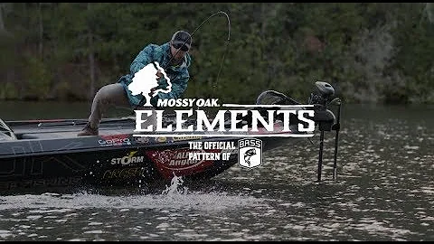 Brandon Palaniuk - Elements - Bass Fishing