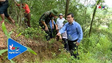 Chủ tịch UBND tỉnh kiểm tra và chỉ đạo công tác khắc phục thiên tai tại huyện Hưng Nguyên