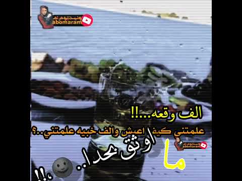 حالات وتس العشره الجانت تربطنا الفنان مصطفى ابو الفوز 2023 ابــومــرام