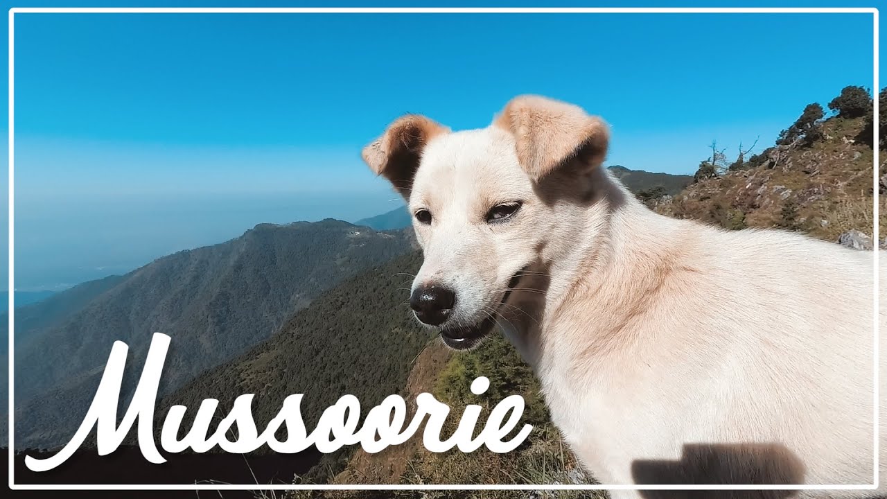 Best weekend getaway from Delhi? | George Everest | Mussoorie | Delhiocity