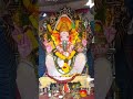 Successfully completed 11 days nd done for this year #lordganesha #ytshorts #viralvideo #viralshorts