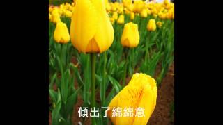 為我獻上心韻 關菊英