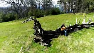 Alice DiMicele - Nature Reigns (OFFICIAL Video)