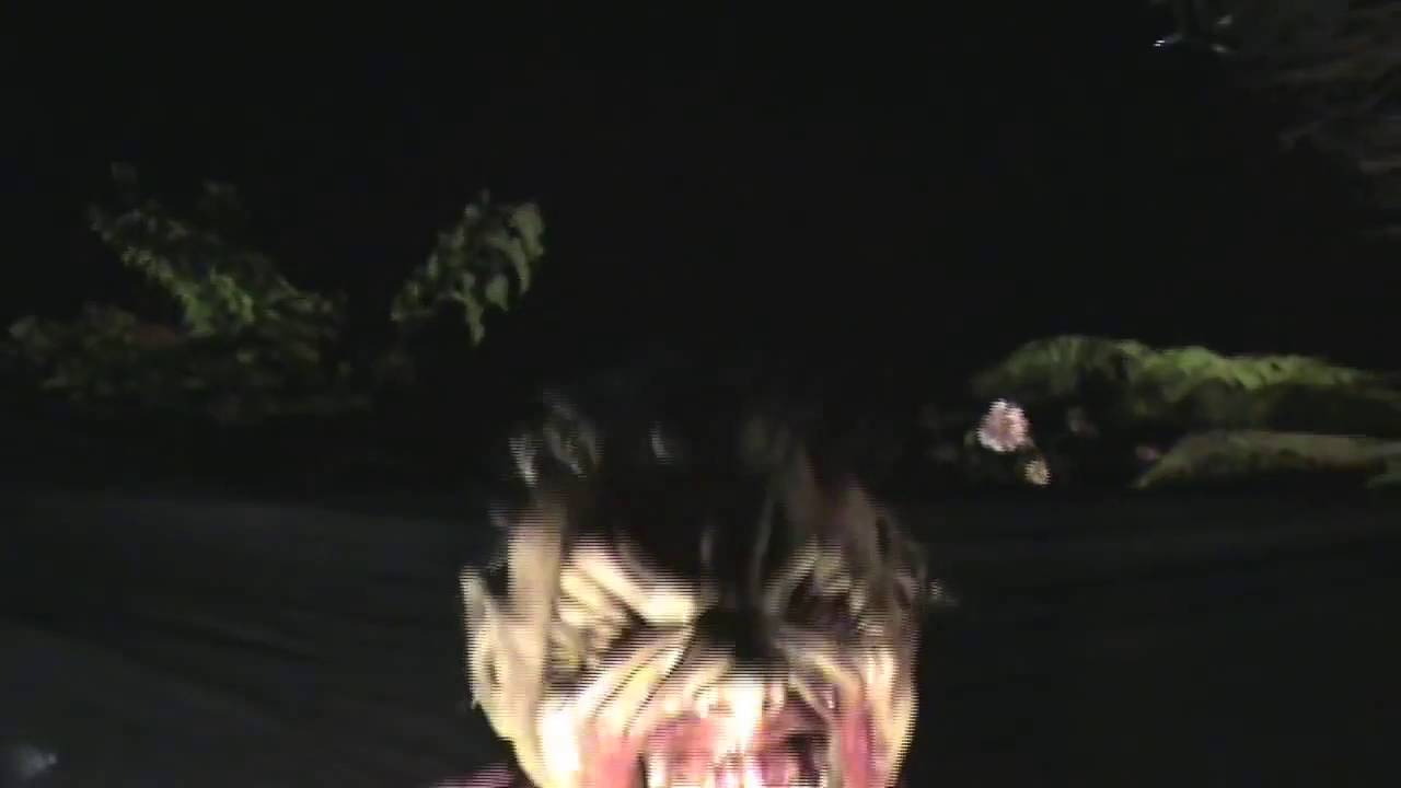 Rushing Werewolf - Halloween Prop