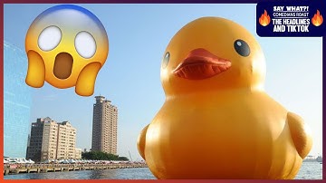 Giant inflatable duck breaks free of moorings, escapes Maine harbor