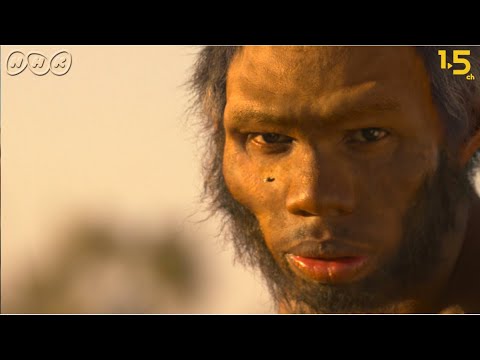 [人類誕生CG] 180万年前の人類はマラソンランナーだった！？ | NHKスペシャル | NHK