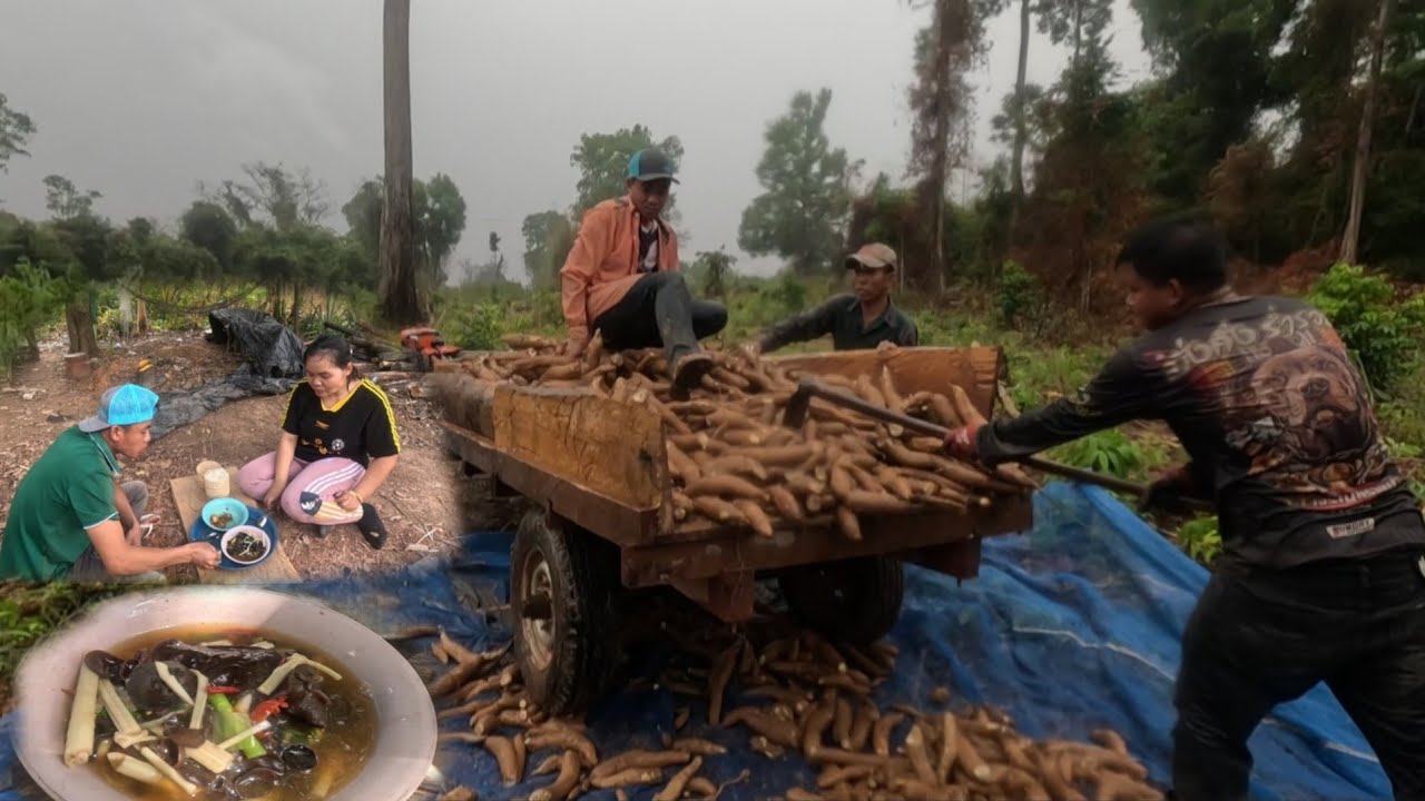 ลุยท่ามกลางสายฝน