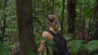 Pura Vida 4K - Travel To Costa Rica