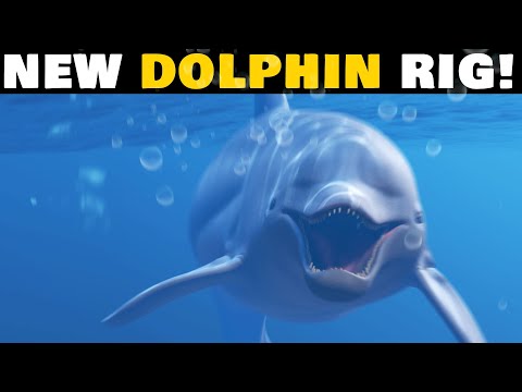 Download this RIGGED 3D Dolphin!!
