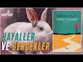 Fareler ve  İnsanlar, John Steinbeck Kitap İncelemesi / Hayaller ve Gerçekler