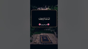 #قران_كريم #yasseraldossary #القرآن_الكريم #قرآن #راحة_نفسية #تلاوة_خاشعة