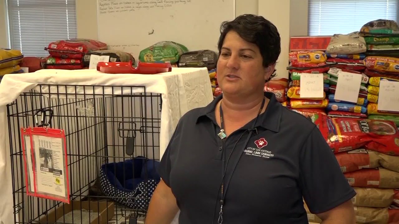 ACS takes in dozens of pets from Dickinson shelter hit by Harvey