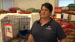 ACS takes in dozens of pets from Dickinson shelter hit by Harvey