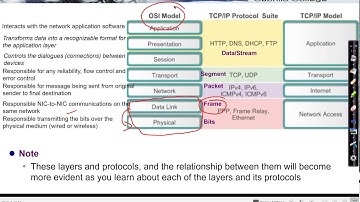Network Access Layer: Introduction