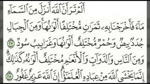 سورة فاطر آية 27 - 28
