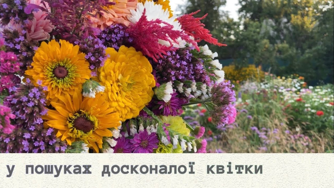 Квіти з насіння • підсумок Серпня