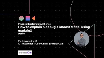 [Explainable AI] Explaining & Debugging XGBoost Model using explainX