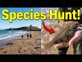 Embleton Bay Species Hunt: Targeting Rare Flatfish Under The Shadow Of Dunstanburgh Castle