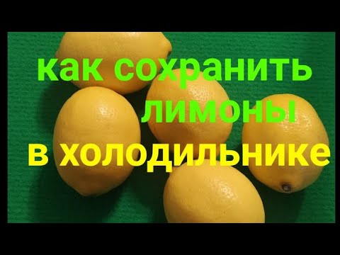 Как🥭 долго сохранить целыми и свежими лимоны в холодильнике