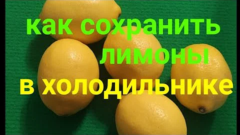 Как🥭 долго сохранить целыми и свежими лимоны в холодильнике