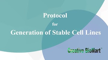 Protocol for Generation of Stable Cell Lines