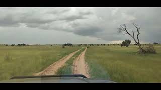 Niger Région De Tesker ,Dans Une Vallée Très Vaste