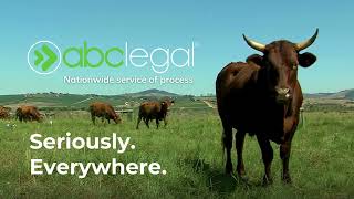 Serve Legal Documents Nationwide - Reliable Service of Process, Anywhere