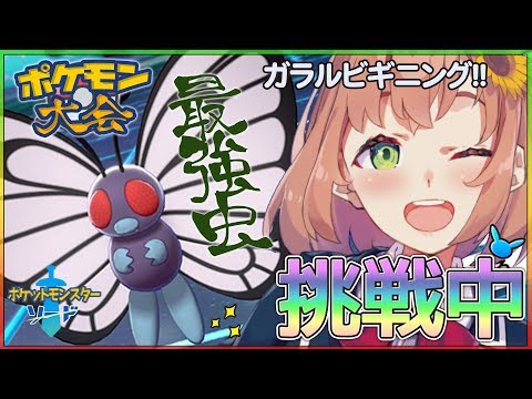 【ポケットモンスターソードシールド】ガラルビギニング完走しますた。結果はいかに🤥【本間ひまわり/にじさんじ】