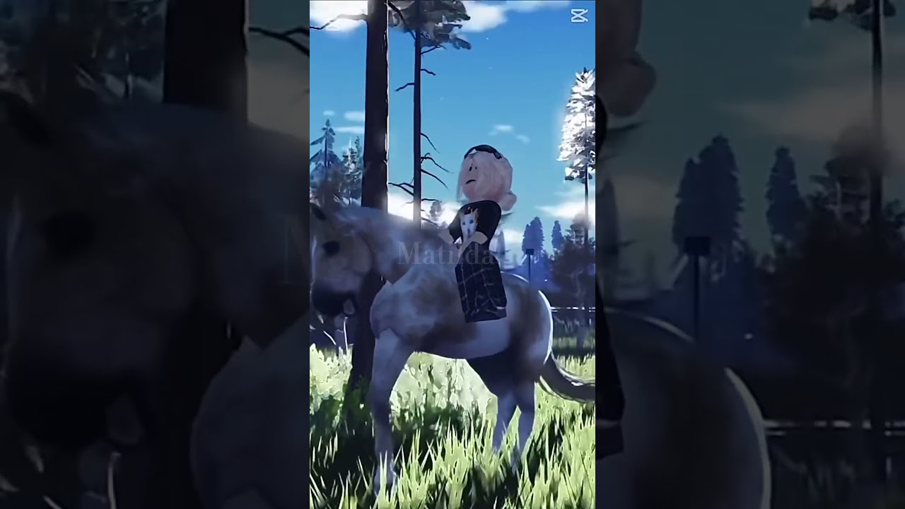 Ty For 8 Subs Horse Roblox Equestrian
