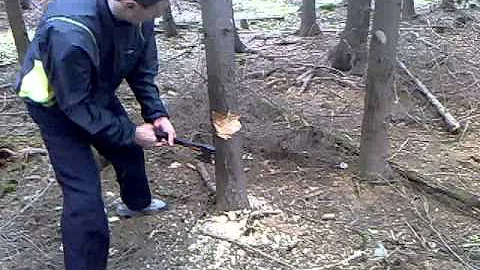 Jak odstranit přesahující větve v stromu?