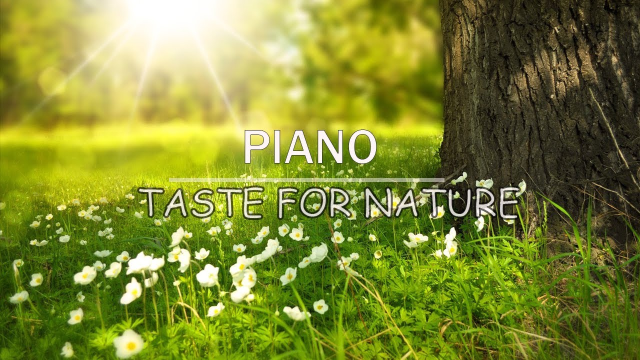 Taste for nature| Piano Relaxing